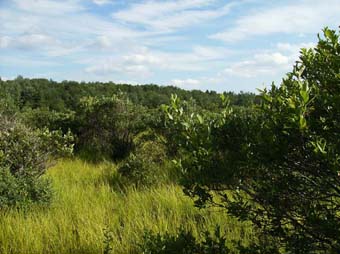 community photo